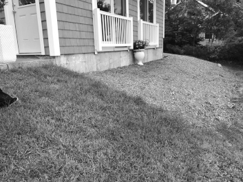 old black and white lawn